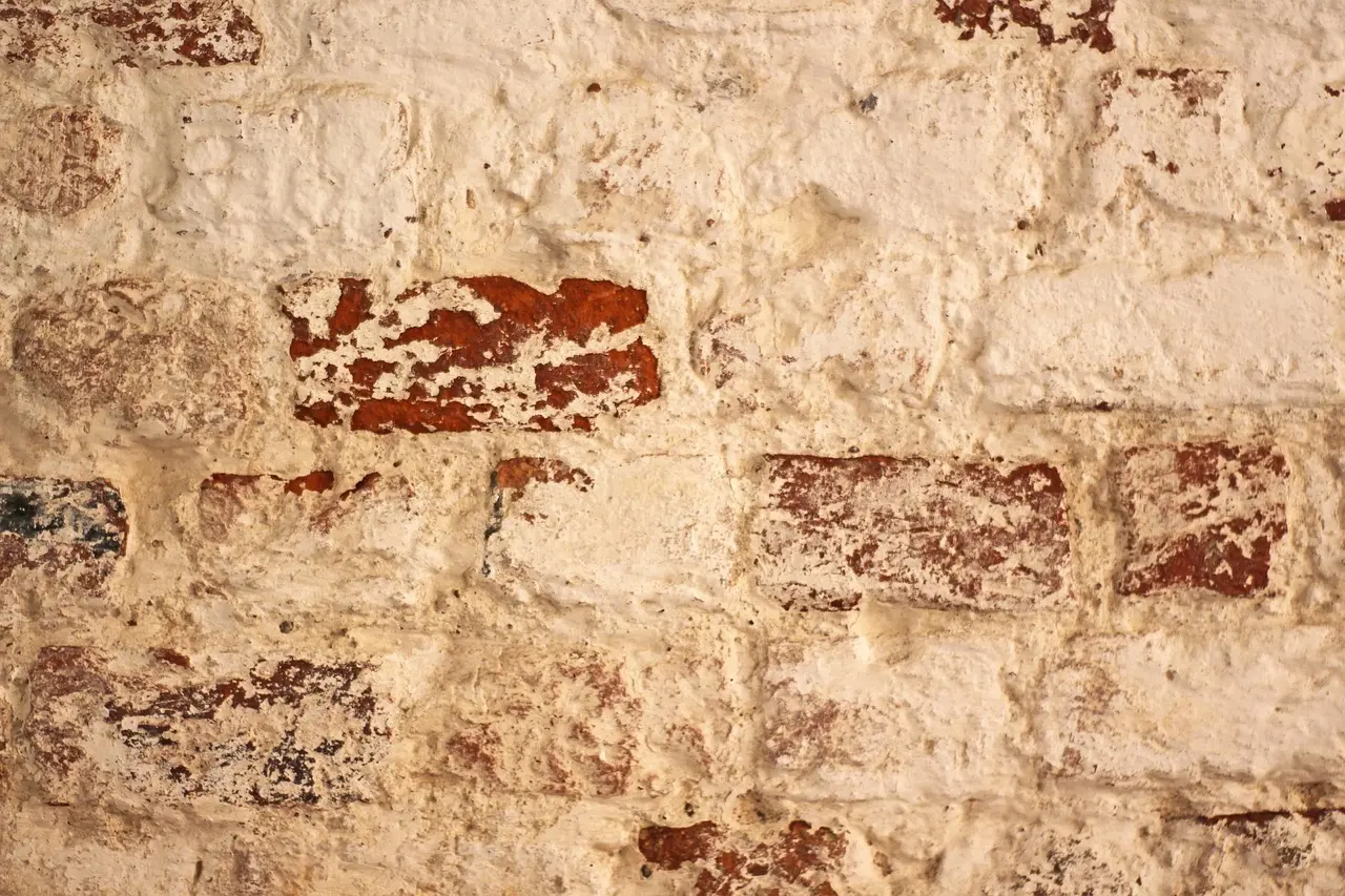 Naturlig maling og træpleje: Gør-det-selv med kalkmaling, linolie og bivoks