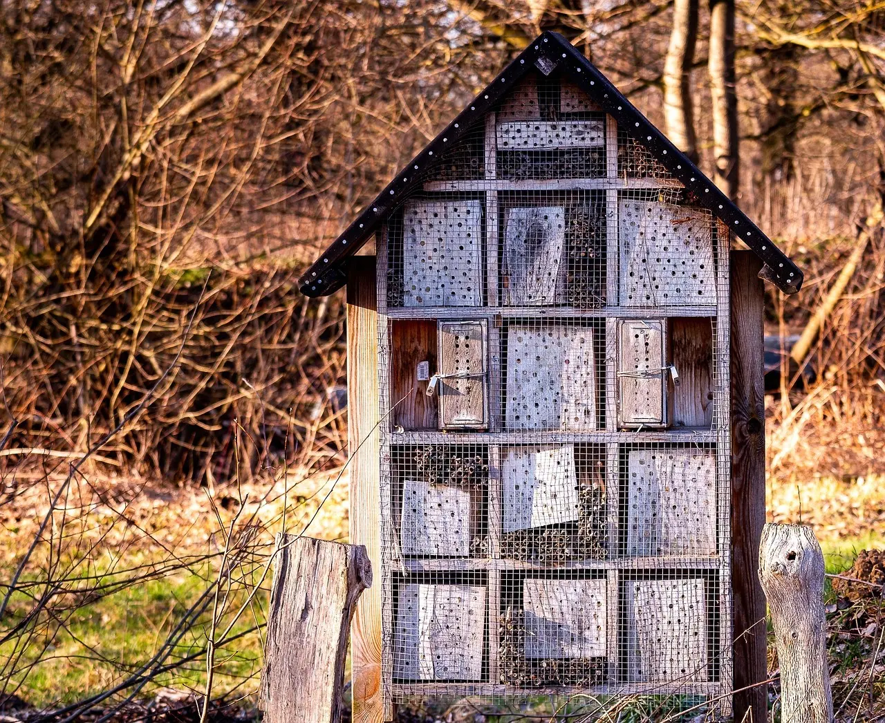 Naturlige duftlys: Støb lys af bivoks og æteriske olier